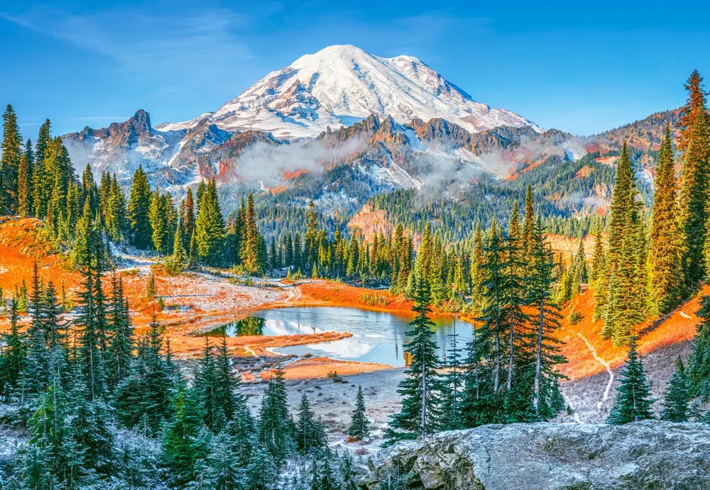 Puzzel mountain rainier national park, USA 1000pc