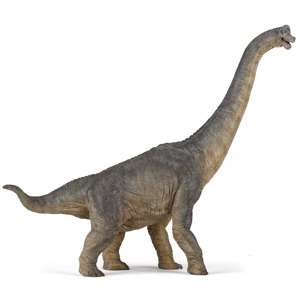 dinosaurussen per stuk papo