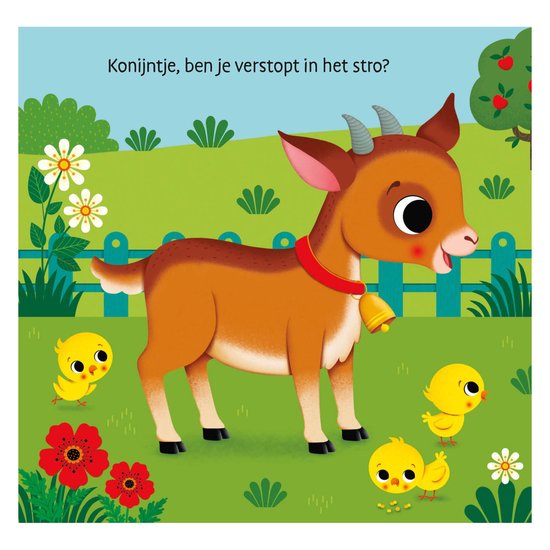 Waar is het konijntje ? NED