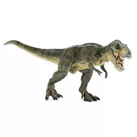 dinosaurussen per stuk papo