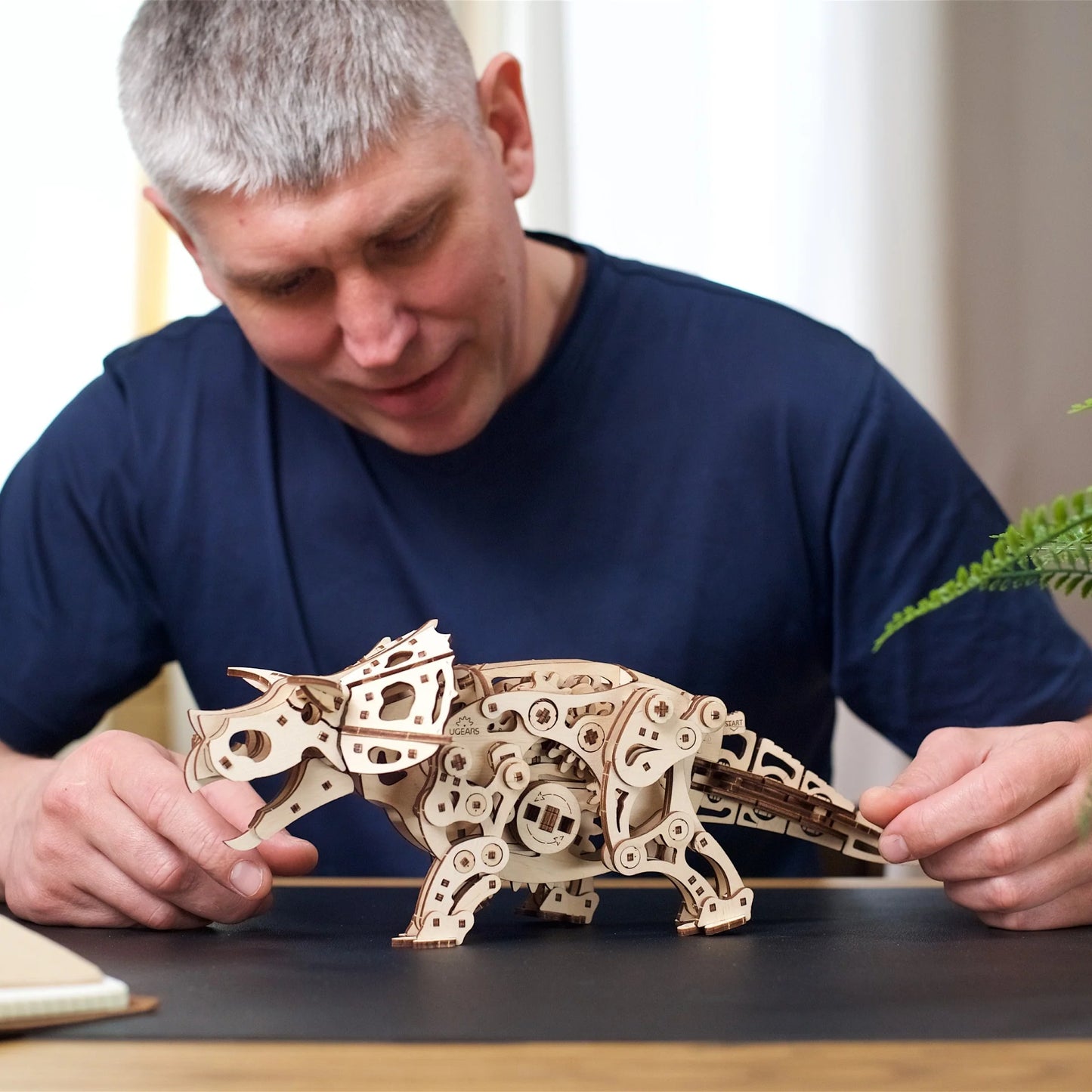 Puzzle 3D en bois à construire Triceratops