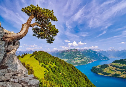 Puzzel view of the lake of uri, switzerland 1000pc