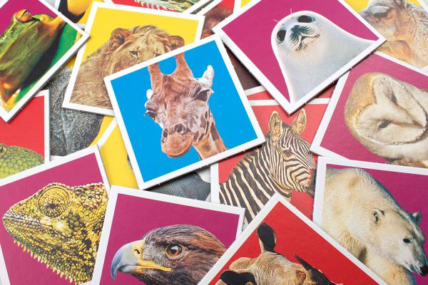 mémo animaux sauvages