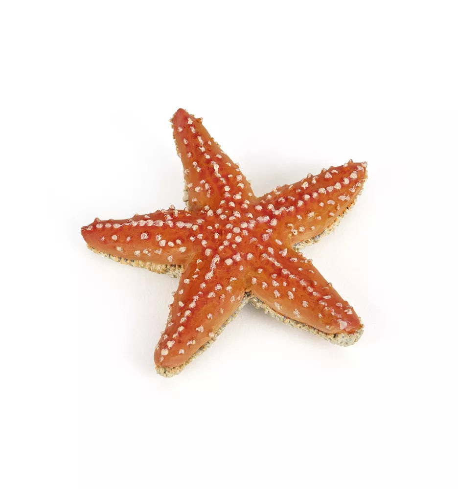 zeedieren per stuk papo