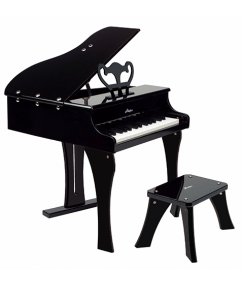 vleugelpiano zwart -piano à queue noir
