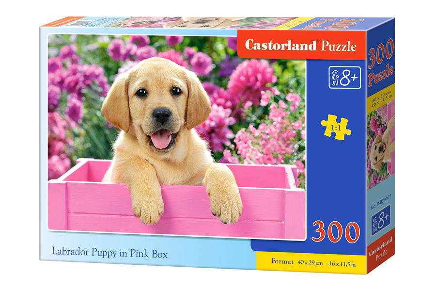 Puzzel Labrador puppy in pink box 300pc