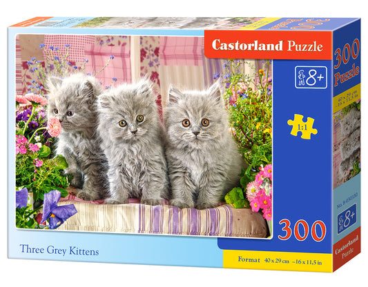 three grey kittens 300pc