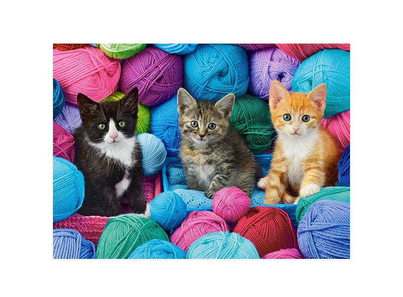 kittens in yarn store 300pc
